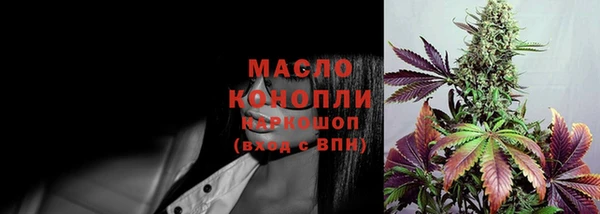 ешки Новозыбков