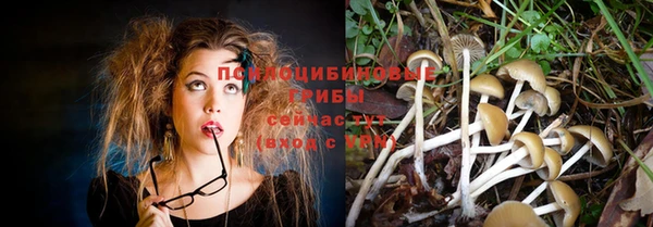 ГАЛЛЮЦИНОГЕННЫЕ ГРИБЫ Няндома