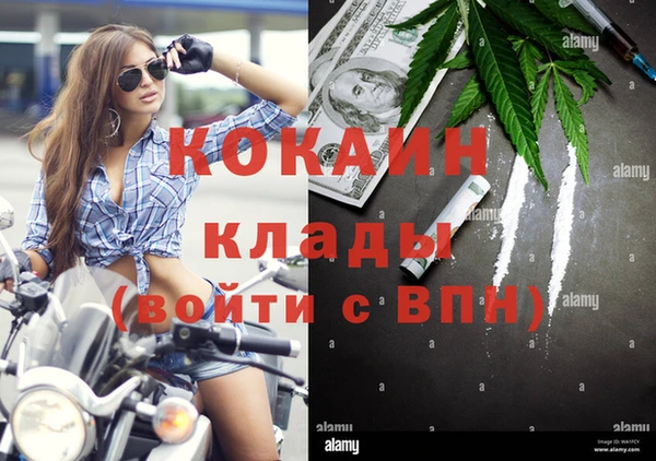 скорость Болотное