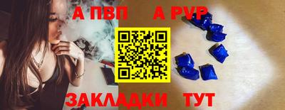 шишки Кингисепп