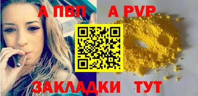 шишки Кингисепп
