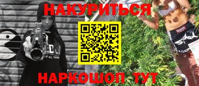 шишки Кингисепп