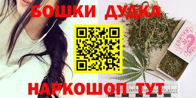 шишки Кингисепп