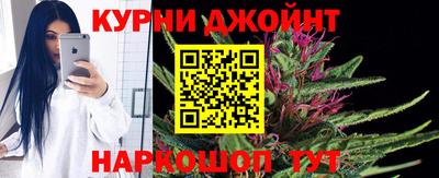 шишки Кингисепп