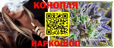 шишки Кингисепп
