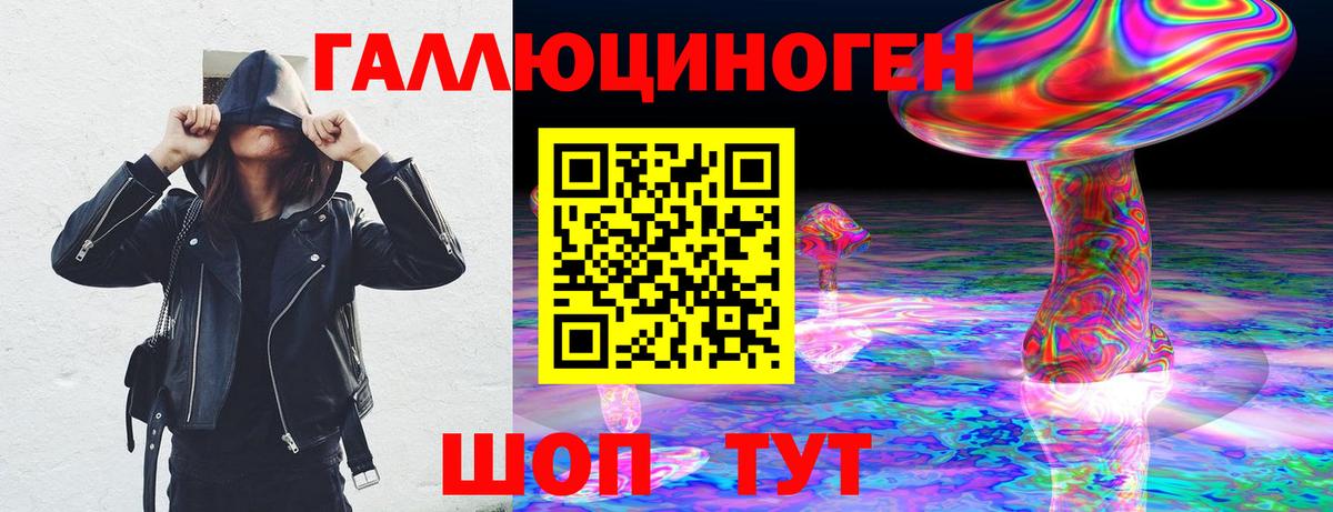 Заинск  Галлюциногенные грибы Psilocybine cubensis  Вход с VPN  Псилоцибиновые грибы прущие грибы 